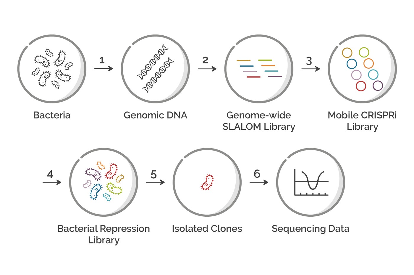 Mobile CRISPRi SLALOM forward genetic screen