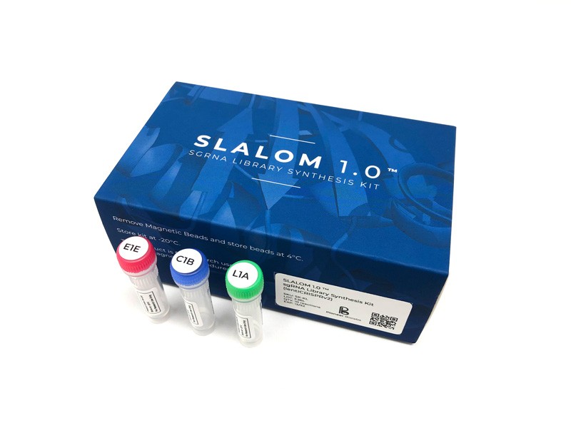 SLALOM kit